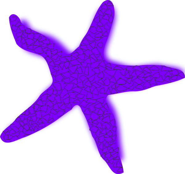 Starfish Clipart Image - Starfish Clip Art - Png Download (600x563), Png Download