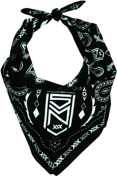 Bandana Headband Png Clipart (517x600), Png Download