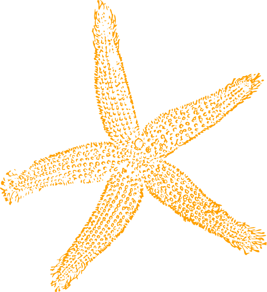 Best Free Images Clipart Starfish - Fish Clip Art - Png Download (546x598), Png Download