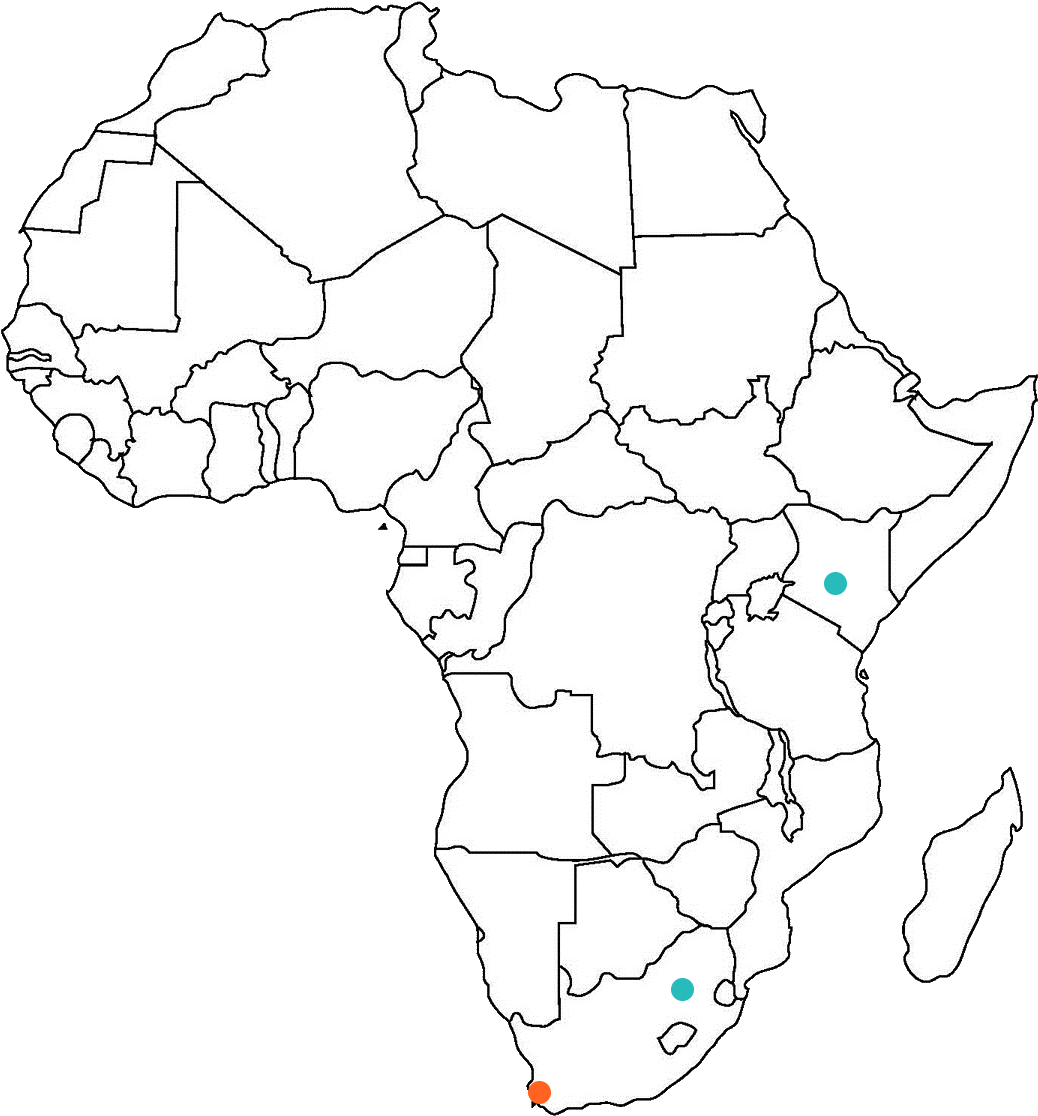 Africa - Sub Saharan Africa Outline Clipart (1073x1142), Png Download