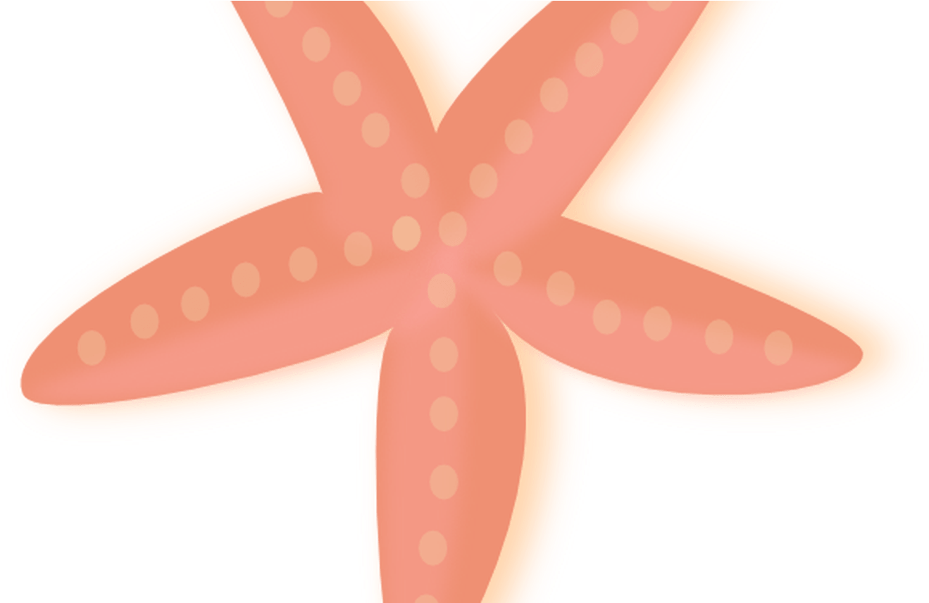 Peach Clipart Starfish Pencil And In Color Peach Clipart - Starfish - Png Download (1368x855), Png Download