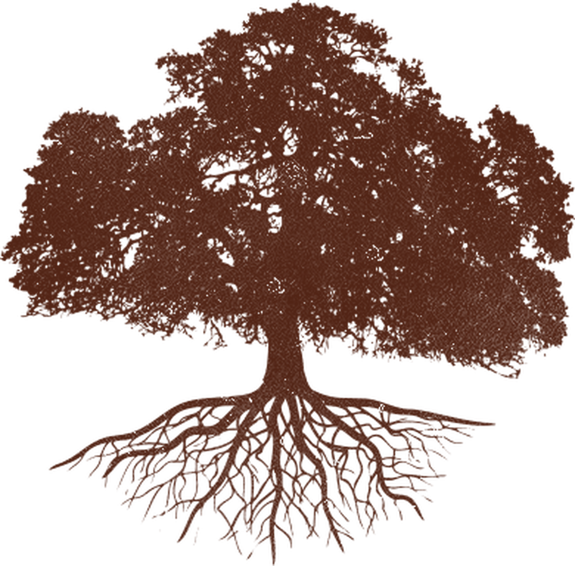 Grocers Exclusive News Offers - Vintage Tree Clipart (1170x1152), Png Download