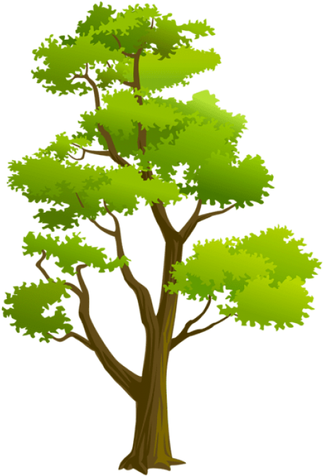 Free Png Download Tree Png Png Images Background Png - Arvores Png Desenho Clipart (480x700), Png Download