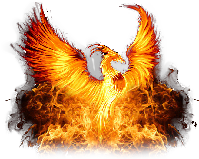 Phoenix Png Photos - Nxt Takeover Phoenix Png Clipart - Large Size Png ...
