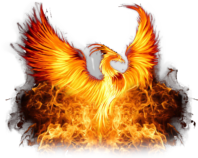 Download Phoenix Png Photos - Nxt Takeover Phoenix Png Clipart Png