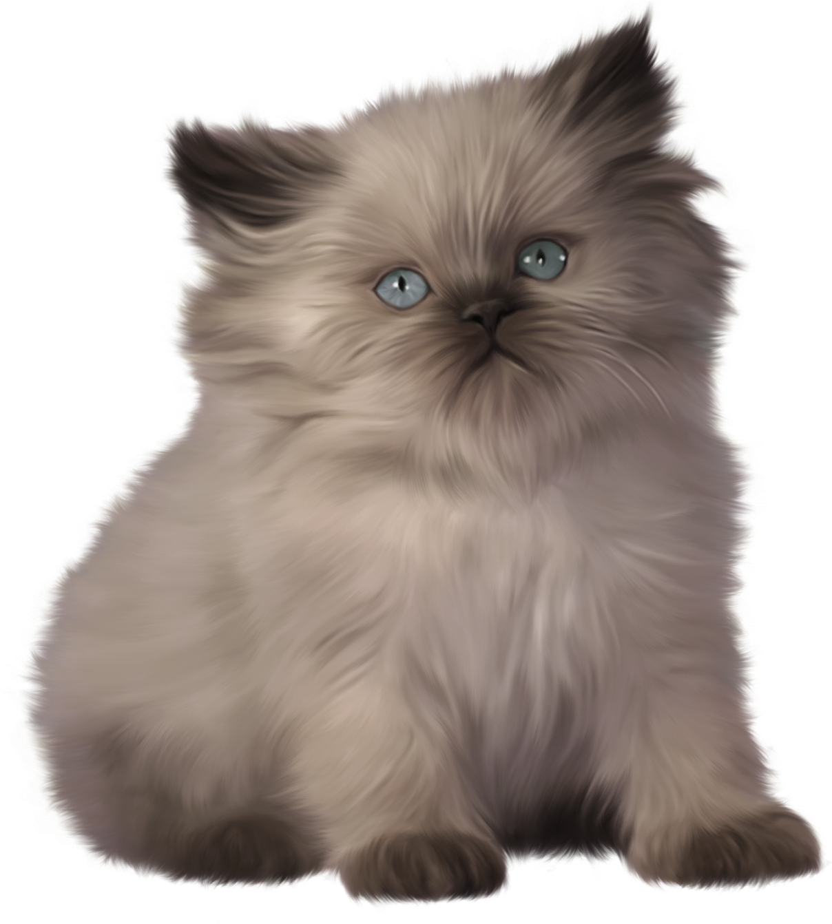 Kitten Png Clipart - Ragdoll And Bengal Kittens Transparent Png (1216x1341), Png Download