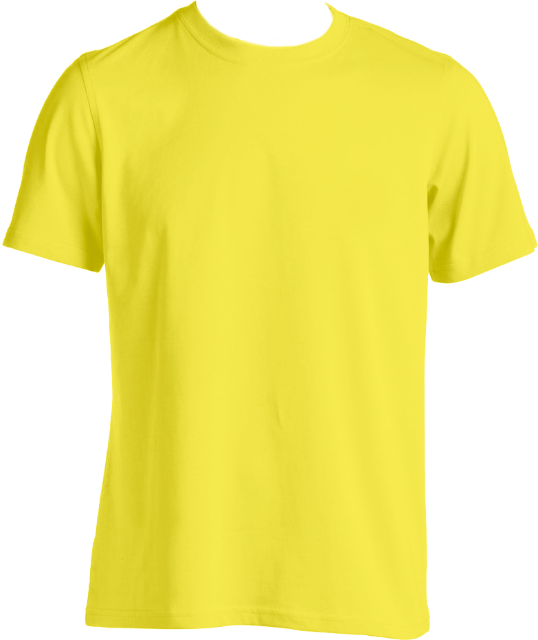 transparent shirt with inner