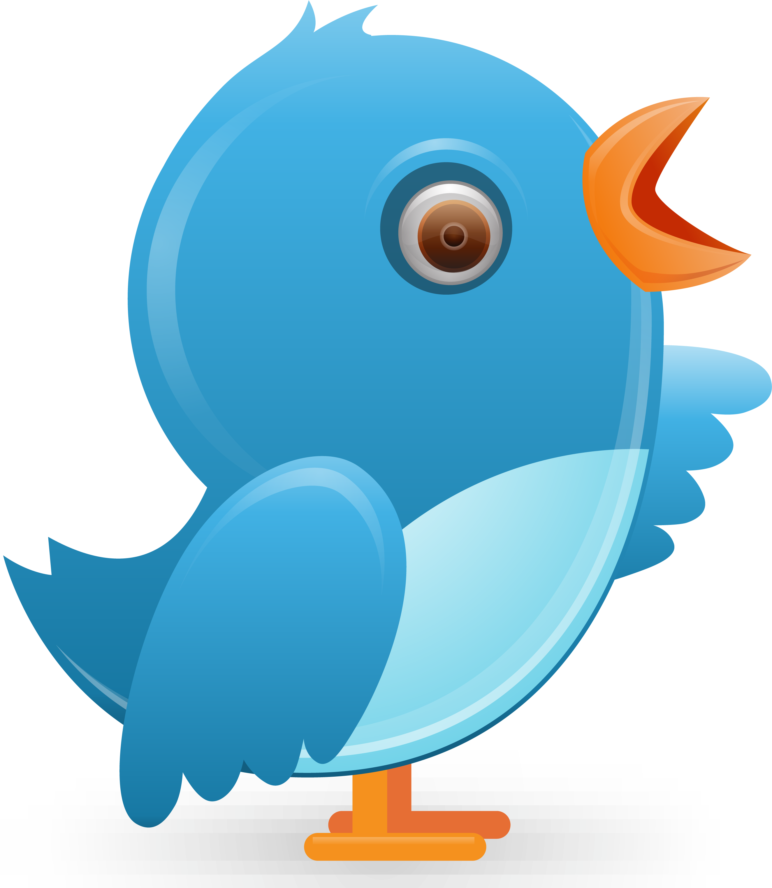 Twitter Bird Logo Png - Cartoon Clipart (3000x3046), Png Download