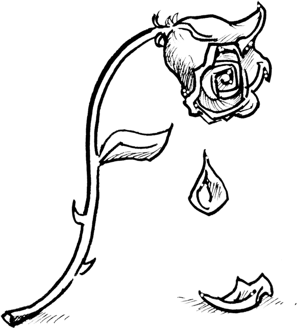 Beauty And The Beast 2017 Dark - Old Woman Drawings Png Clipart (647x680), Png Download