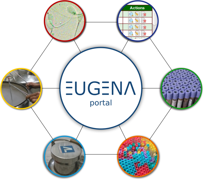 Circle Clipart (666x590), Png Download