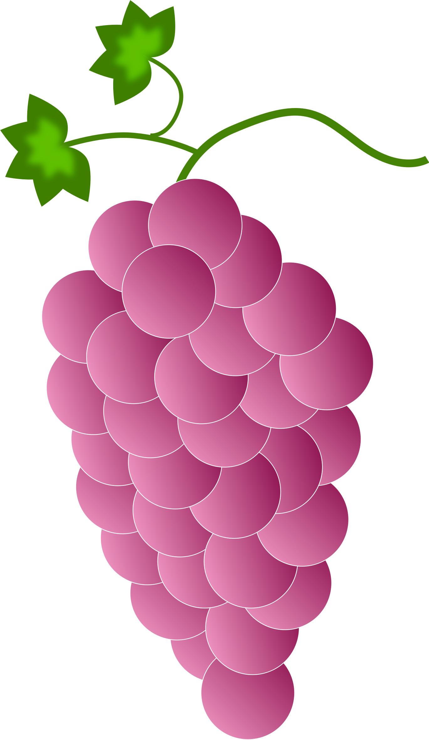 This Free Icons Png Design Of Pink Grapes Clipart (1368x2356), Png Download