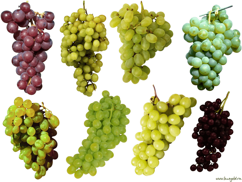 Free Png Grapes Png Images Transparent - Green And Purple Grapes Clipart (850x640), Png Download