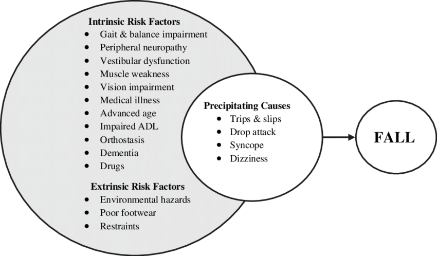 The Multifactorial And Interacting Causes Of Falls - Causes Of Falls Clipart (850x498), Png Download