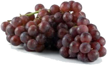 Grapes - Grapes In Uganda Clipart (600x600), Png Download