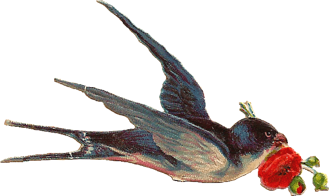 Vintage Bird - Vintage Bird Png Clipart (877x596), Png Download