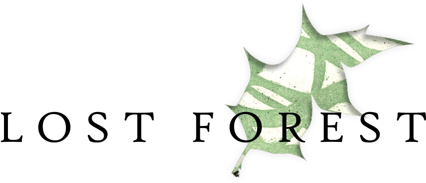 Lostforest Transparentlogo - Poster Clipart (897x368), Png Download
