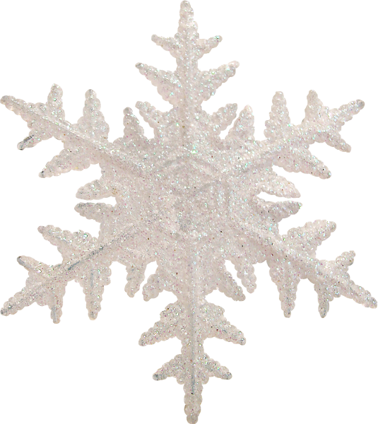 Christmas Snowflakes, Christmas Clipart, Christmas - Oak - Png Download (535x600), Png Download