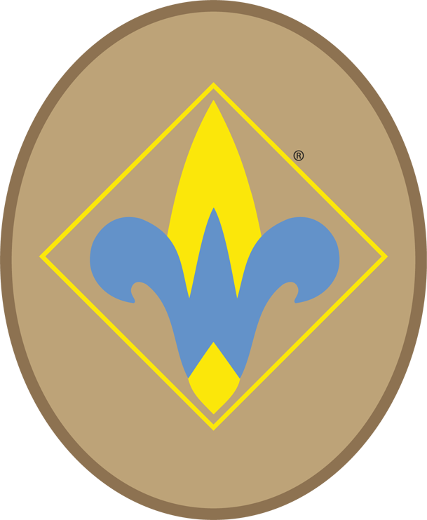 Pack 74 Webelos - Webelos Activity Badges Clipart (609x742), Png Download