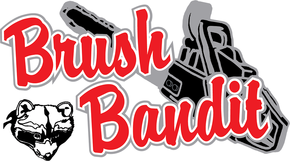 Finest Brush Bandit With Bandit Clipart (1000x560), Png Download