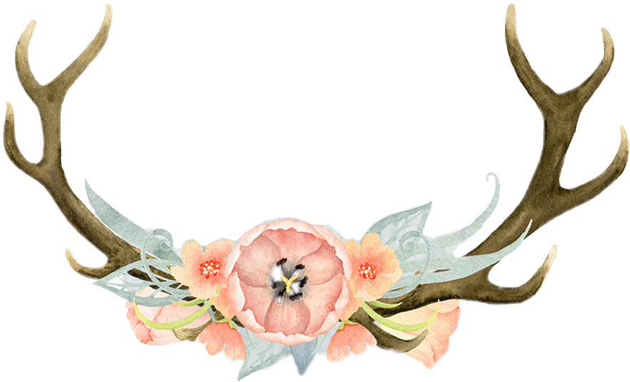#flores #flor #cuernos #rosa - Antlers Watercolor Clipart (1024x1024), Png Download