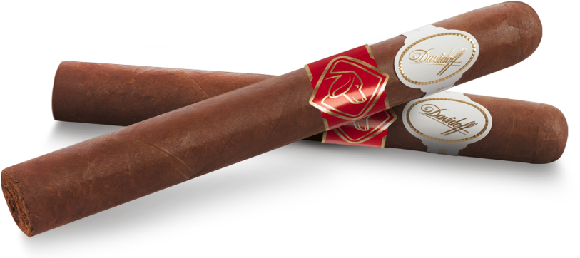 Shop Now - Davidoff Year Of The Dog Cigars Clipart (881x378), Png Download