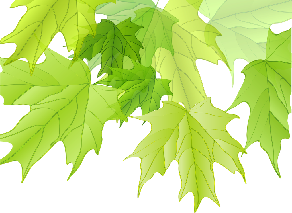 #ftestickers #tree #leaves #maple #corner #border - اوراق الشجر Png Clipart (1024x1191), Png Download