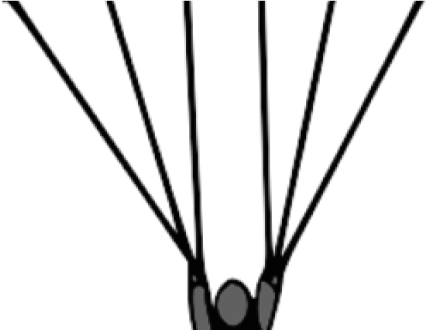 Skydiving Clipart Parasail - Parachuting - Png Download (640x480), Png Download