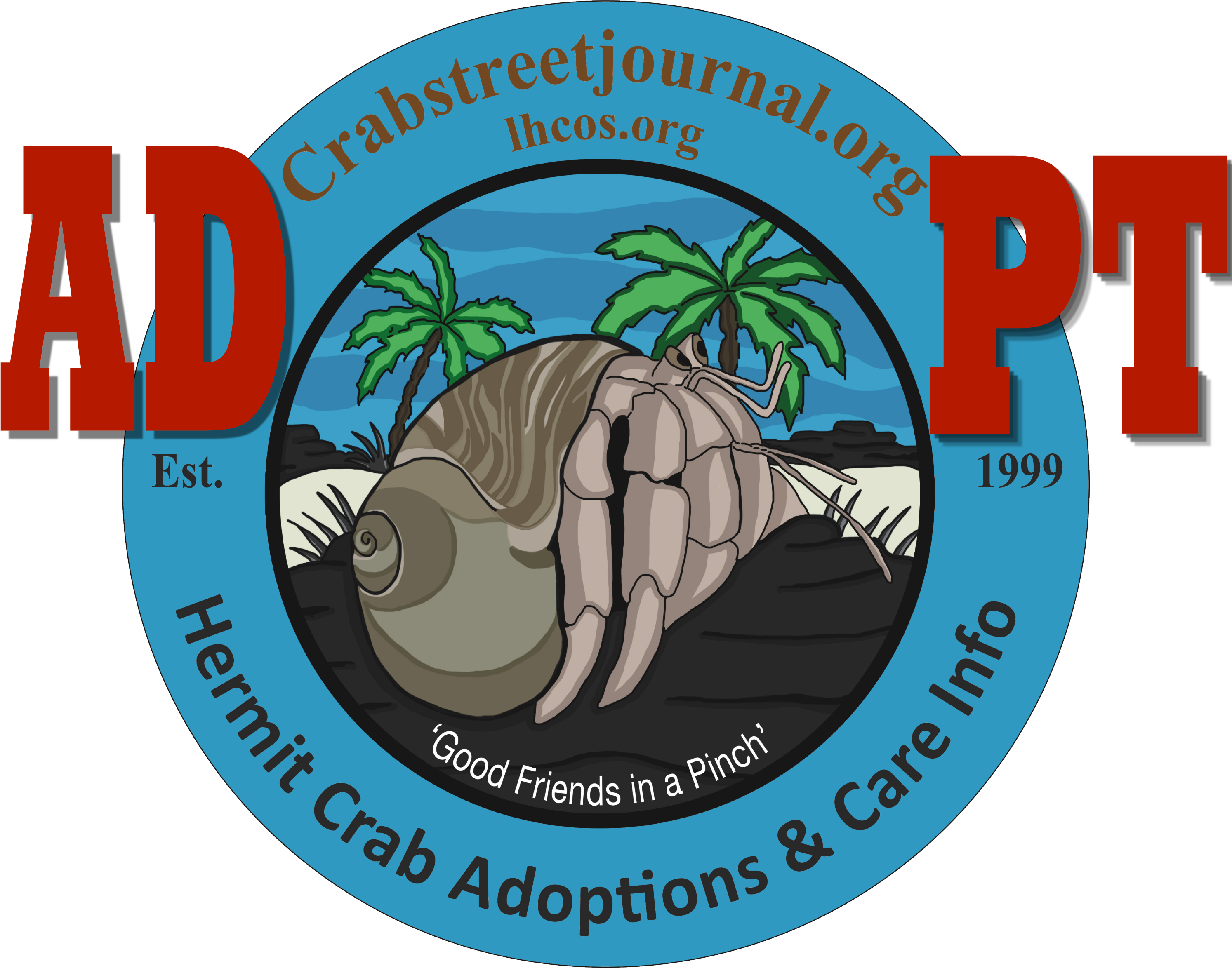 Hermit Crab Adoption Program - Graphic Design Clipart (3000x2400), Png Download