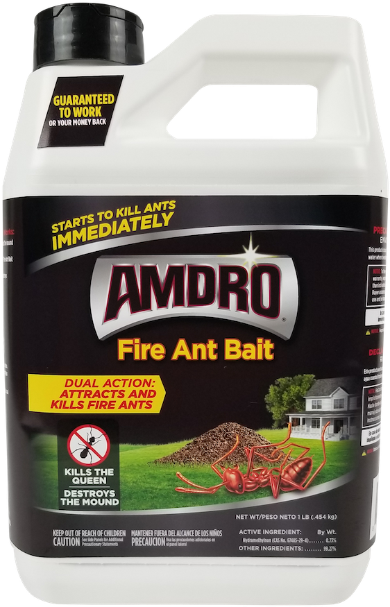 1 Lb Size - Insect Clipart (1000x1000), Png Download