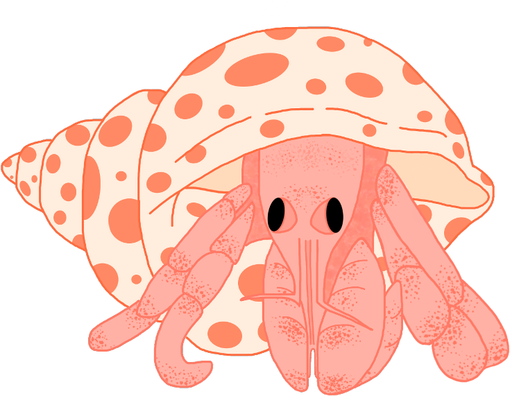 Hermitcrab Sticker - Illustration Clipart (1024x683), Png Download