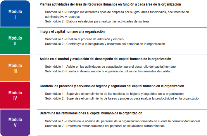 Durante Su Formación Académica El Técnico En Administración - Technique Clipart (733x493), Png Download