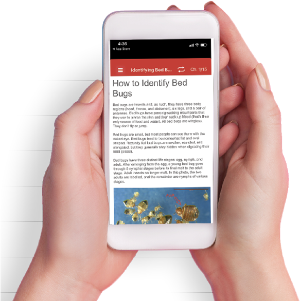 Bed Bug Supplement - Iphone Clipart (628x597), Png Download