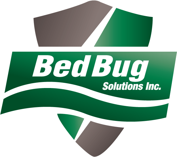 Graphic Design Clipart (649x576), Png Download