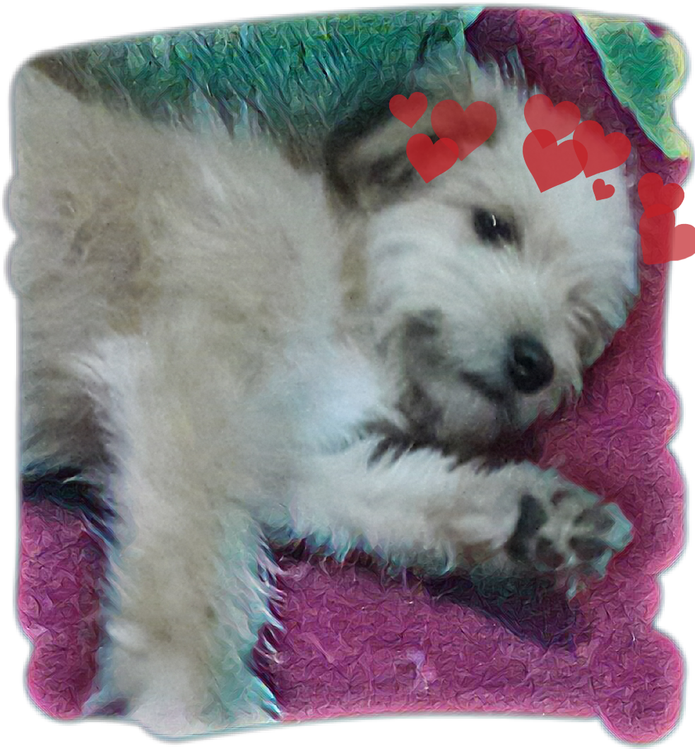 Soldado😂💕 Sticker - Companion Dog Clipart (984x1060), Png Download