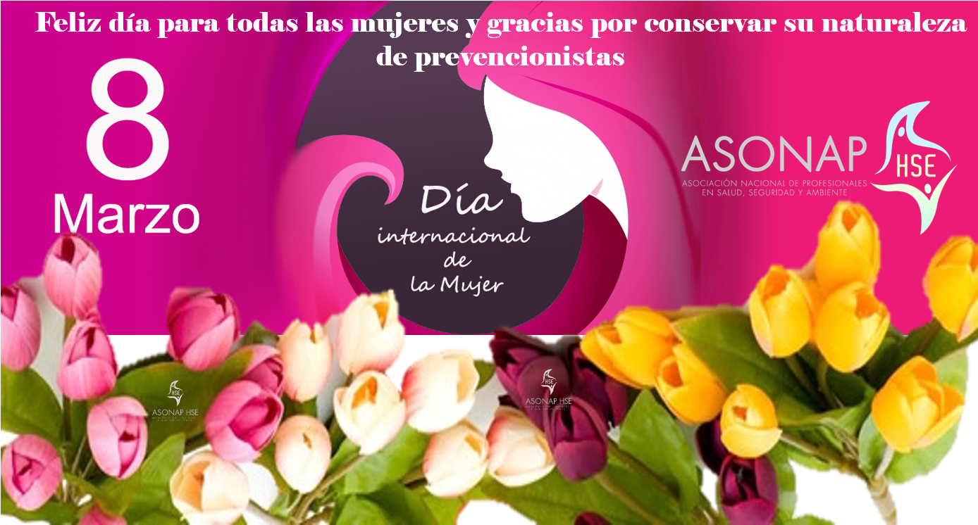 Feliz Día Para Todas, Gracias Por Ayudarnos A Seguir - Tulip Clipart (1405x747), Png Download