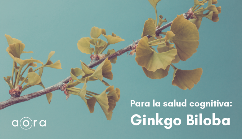 Carta Para Las Mujeres - Crape Myrtle Clipart (1170x605), Png Download