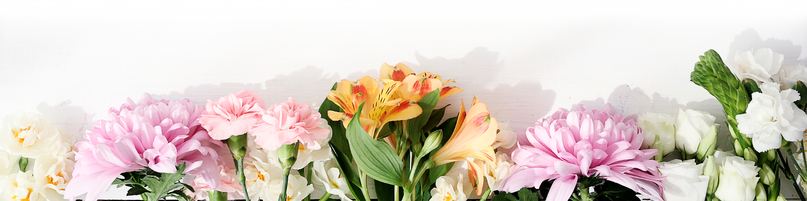 View Signature Collection - Flowers At The Bottom Clipart (1600x400), Png Download