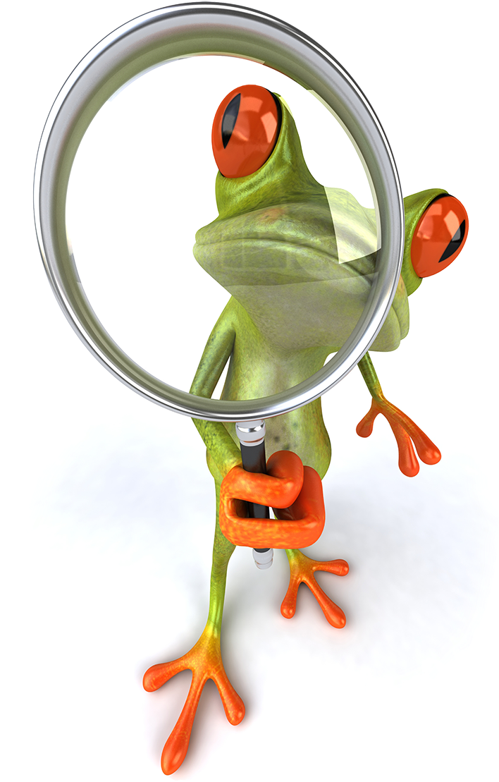 Frog With Magnifying Glass Clipart (767x1144), Png Download