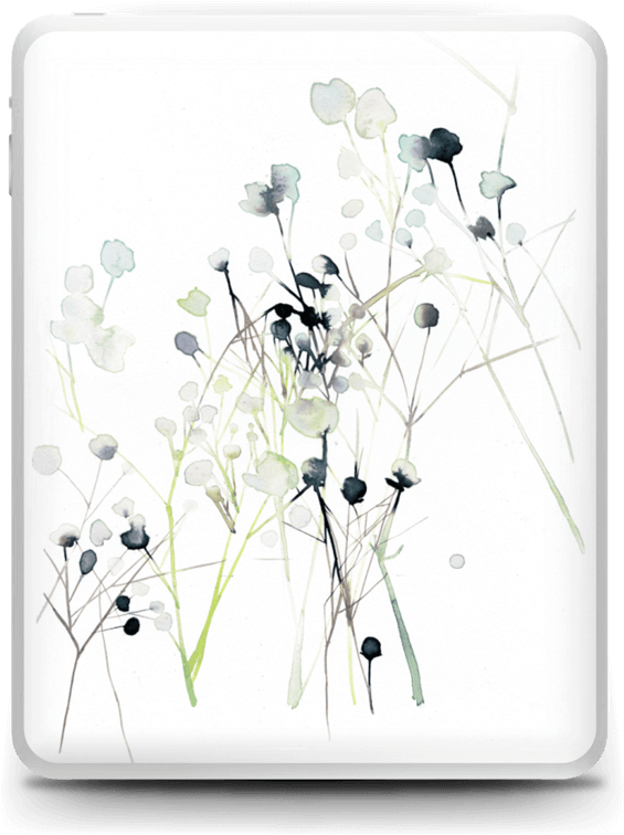 Moth Orchid Clipart (630x800), Png Download