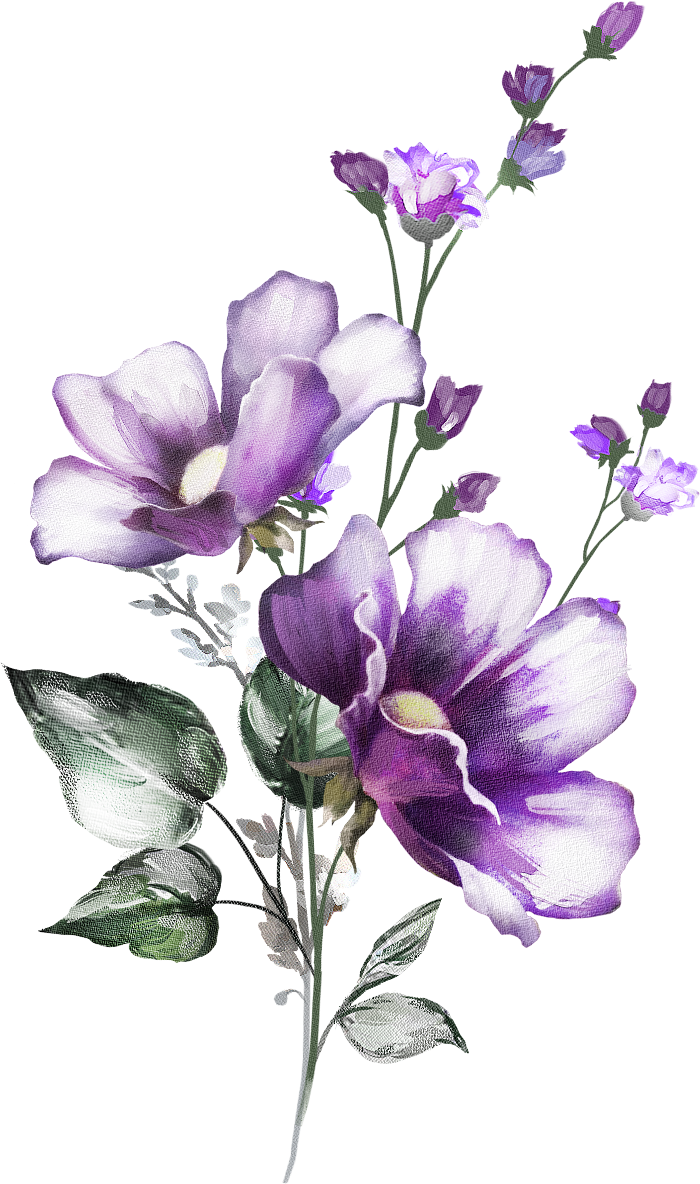 Png Акварельный Цветок Clipart (1940x2851), Png Download