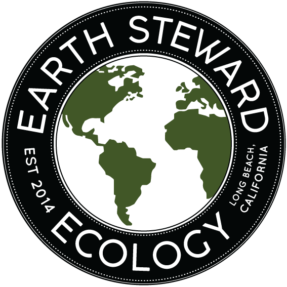 Ecology Png , Png Download - Earth Symbol Transparent Clipart (567x567), Png Download
