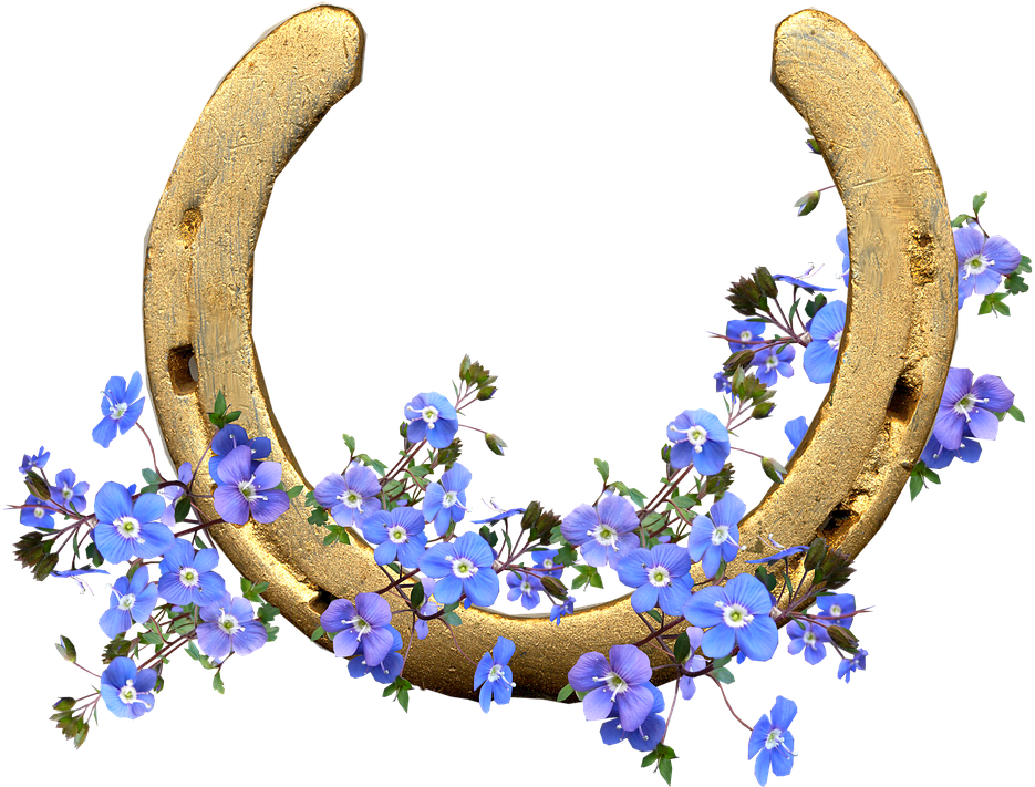 44th Birthday Wishes Clipart (960x710), Png Download