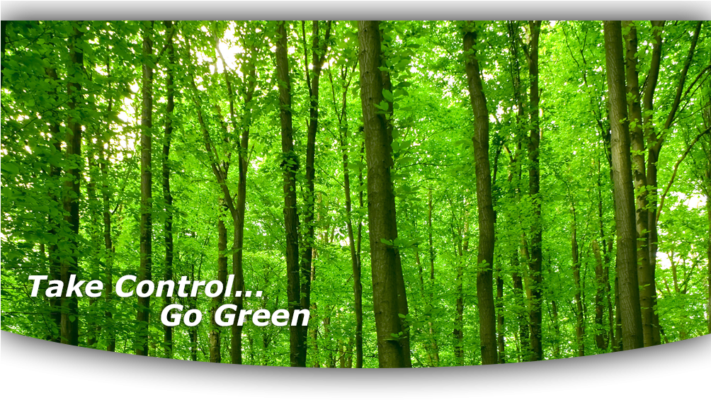 At American Pest Control, Inc - Mural Clipart (1003x648), Png Download