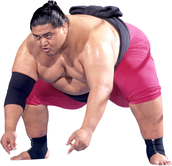 Sumo Png - Yokozuna Clipart (600x579), Png Download