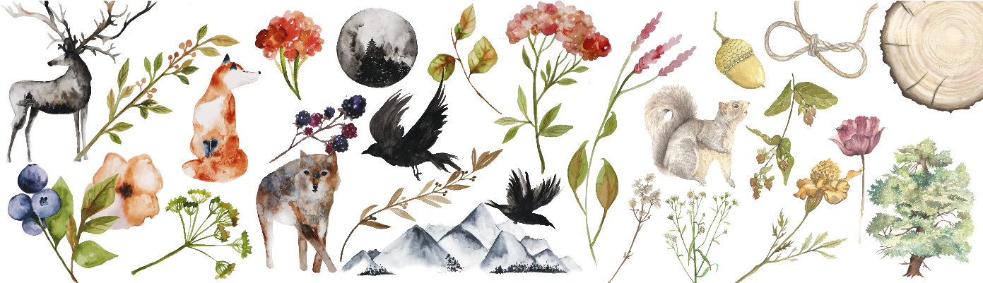 Storybook Girl Design Shop Banner , Png Download - Burnet Rose Clipart (1391x401), Png Download