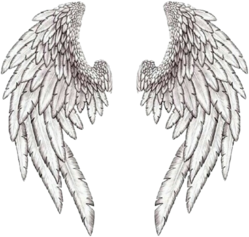 Wings Wing Angle بال Freetoedit - Angel Wings Tattoo Design Clipart (840x802), Png Download