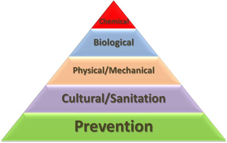 Layers Of Pest Prevention And Management - Principles Of Prevention Clipart (800x503), Png Download