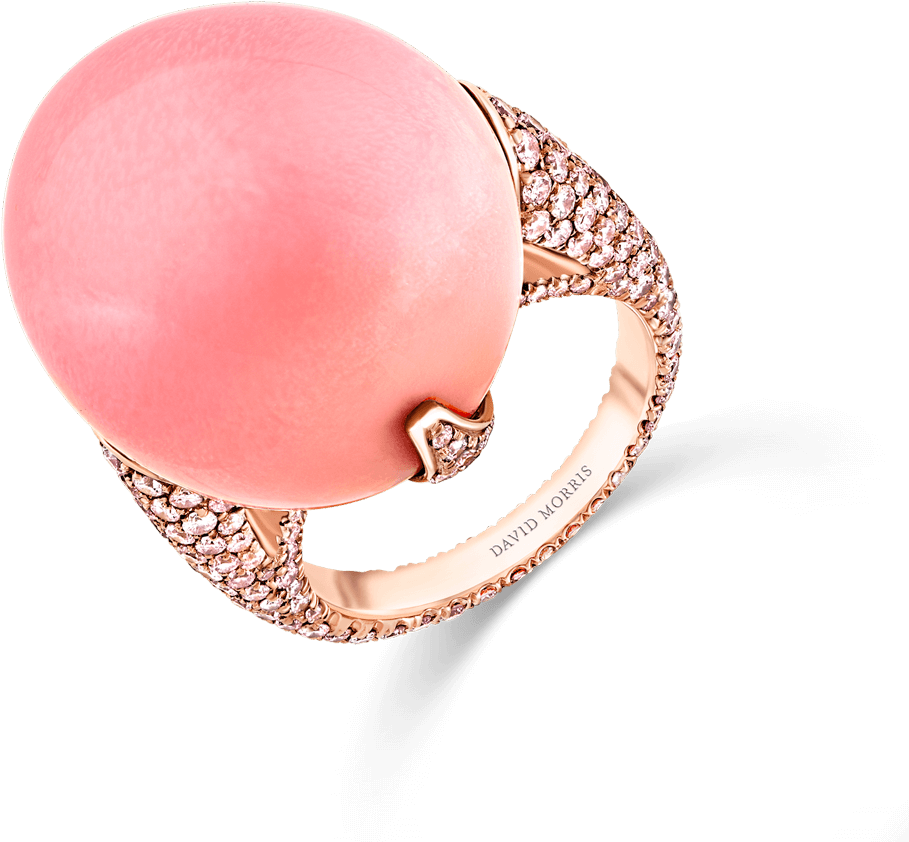 11 06 430 Ring - Ring Clipart (1500x1500), Png Download