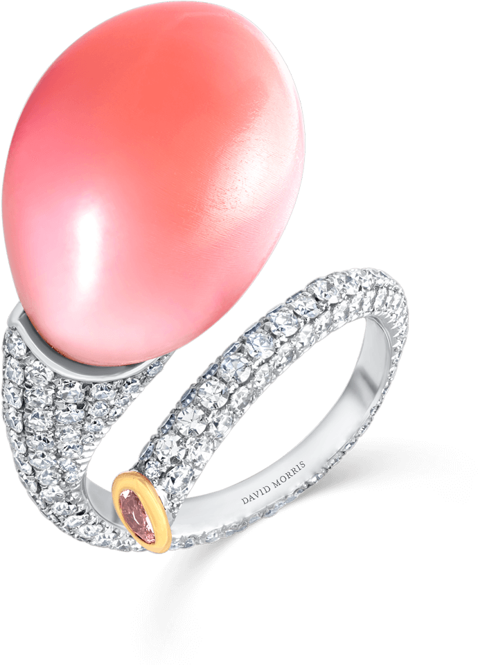 11 06 429 Ring - Ring Clipart (1500x1500), Png Download