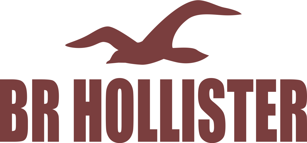 Hollister Png Wwwimgkidcom The Image Kid Has It - Seabird Clipart (1221x570), Png Download